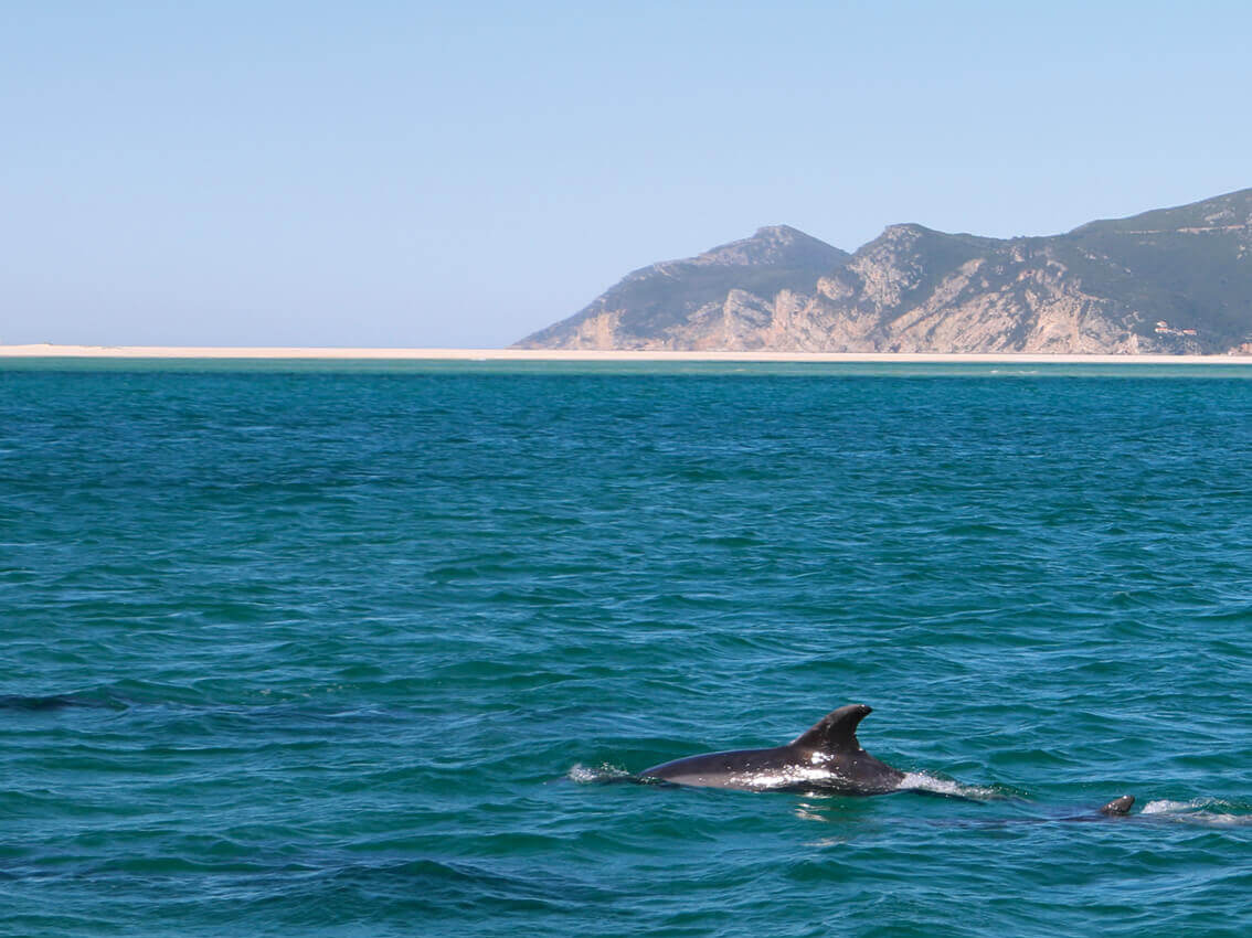 Voyage en Alentejo, Troia