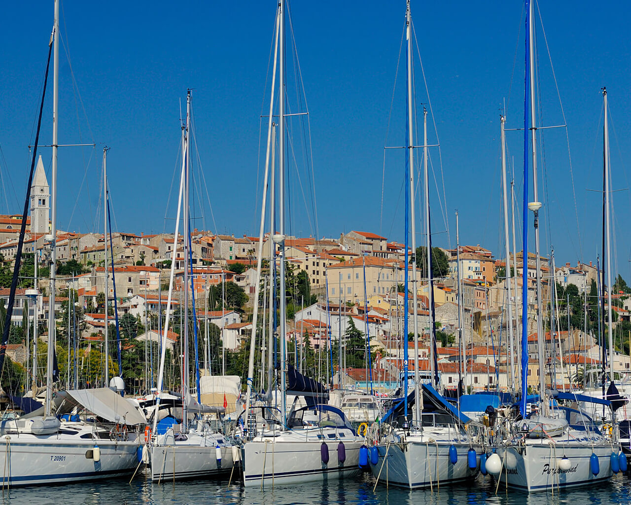 Voyages à Vrsar, Istrie, Croatie