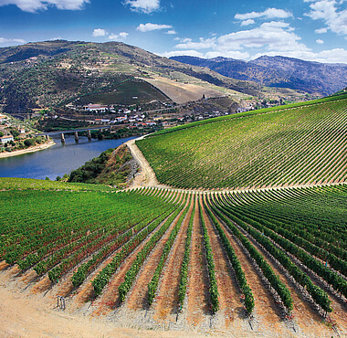Voyage dans la vallée du Douro