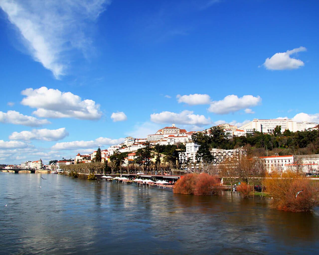 Circuits au Portugal, Coimbra