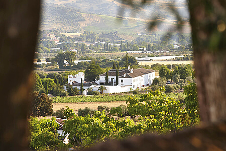 Voyage à l'hôtel Molino del Arco, Ronda, Andalousie